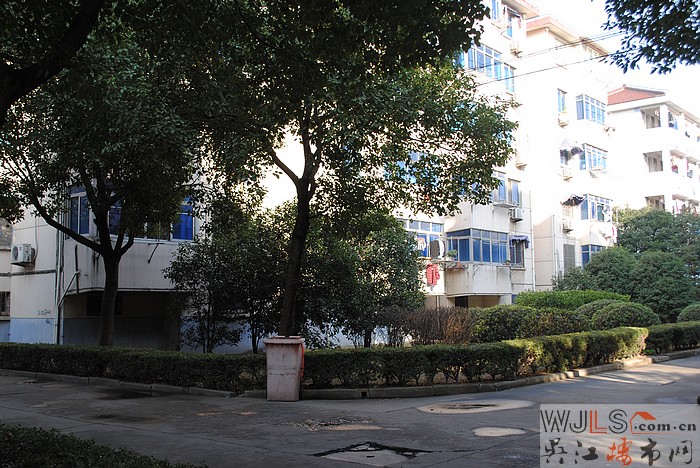 教師新村 房東自住房 