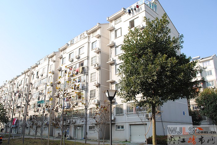 錦怡花園 三房兩衛(wèi) 純毛坯 多層92萬
