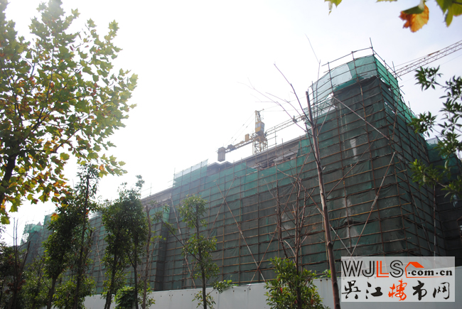 點擊圖片放大 施工進(jìn)度3