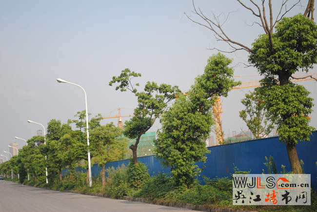 點(diǎn)擊圖片放大 實(shí)景圖７