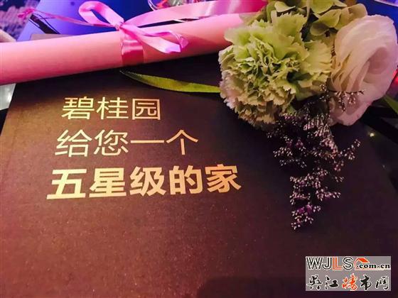 碧桂園進(jìn)駐盛澤CBD核心區(qū)