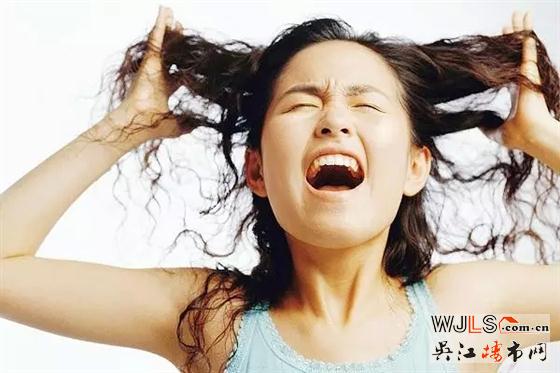 中央鋪王開搶在即，只要你來家電免費(fèi)送