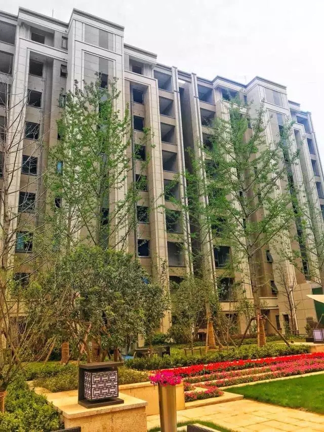 點(diǎn)擊圖片放大 實(shí)景