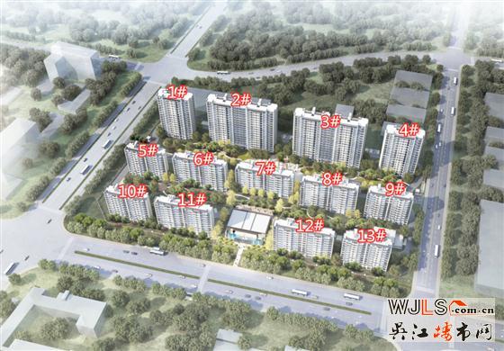 寶能汾湖地塊規(guī)劃出爐！擬建13棟住宅！