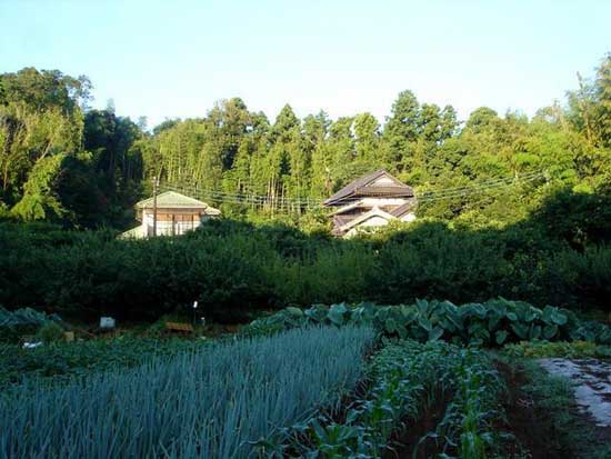 絕對(duì)真實(shí)!看看日本的“社會(huì)底層”農(nóng)村住房